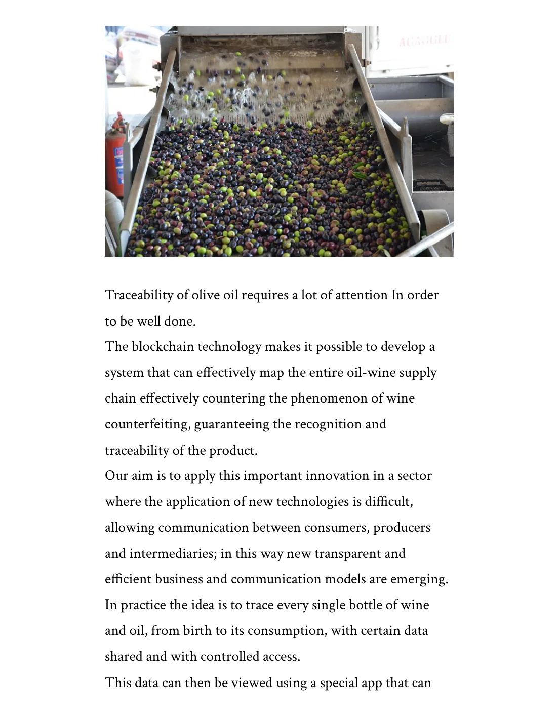 Olive supply chain