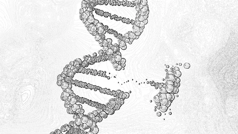 Science of TranshumanGene