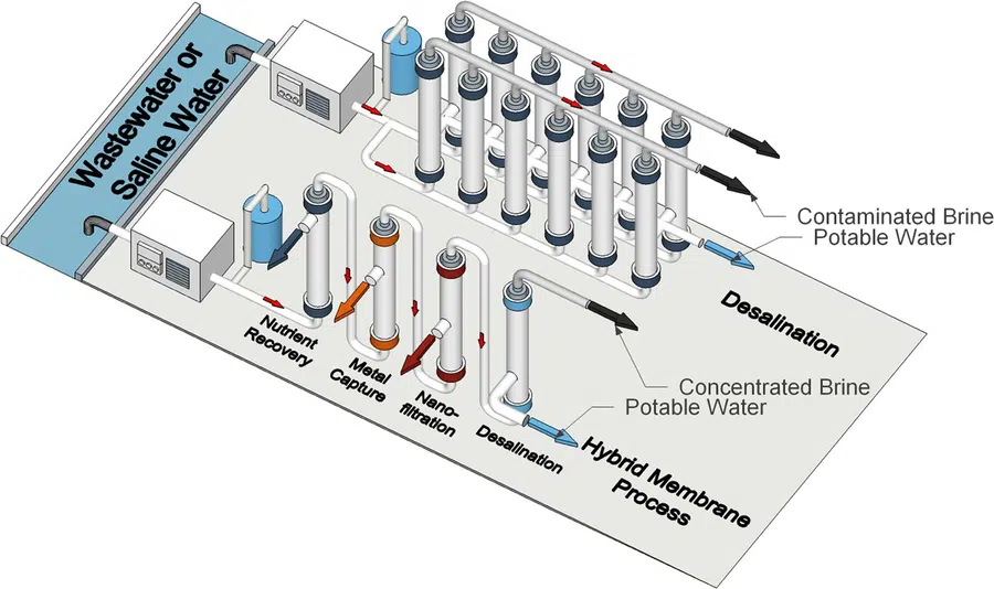 Digimatronics AI